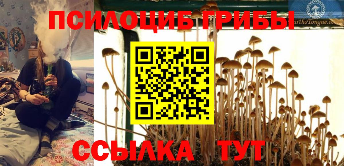 Псилоцибиновые грибы ЛСД  Вход с VPN  Псилоцибиновые грибы MAGIC MUSHROOMS  Орёл 