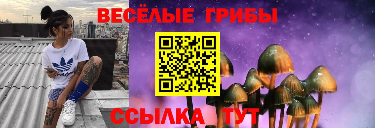 Псилоцибиновые грибы мицелий Орёл